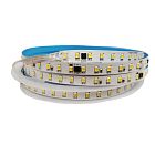 Светодиодная лента с изменяемой цветовой температурой 220 Вольт, 104 диодов 2835 на метр, открытая